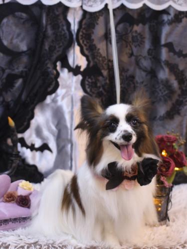 20231001マリーちゃん